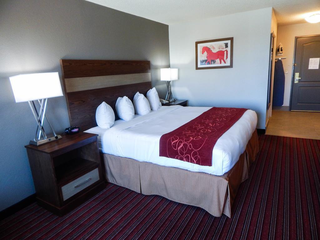 Country Inn & Suites By Radisson, Dfw Airport South, Tx Irving Zewnętrze zdjęcie